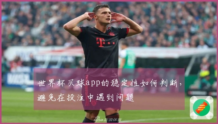 世界杯买球app的稳定性如何判断，避免在投注中遇到问题