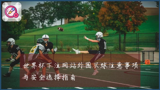 世界杯下注网站外围买球注意事项与安全选择指南