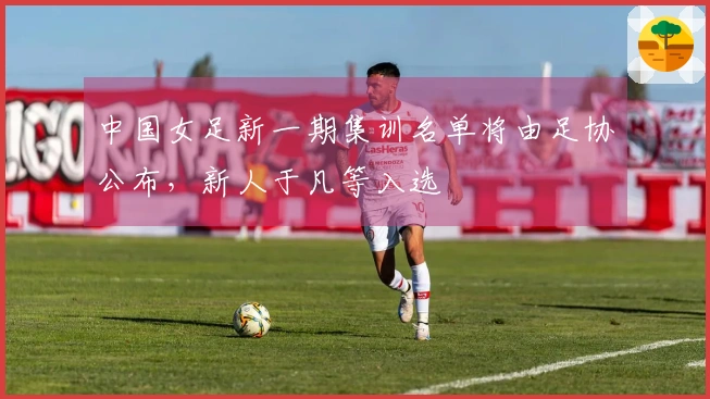 中国女足新一期集训名单将由足协公布，新人于凡等入选