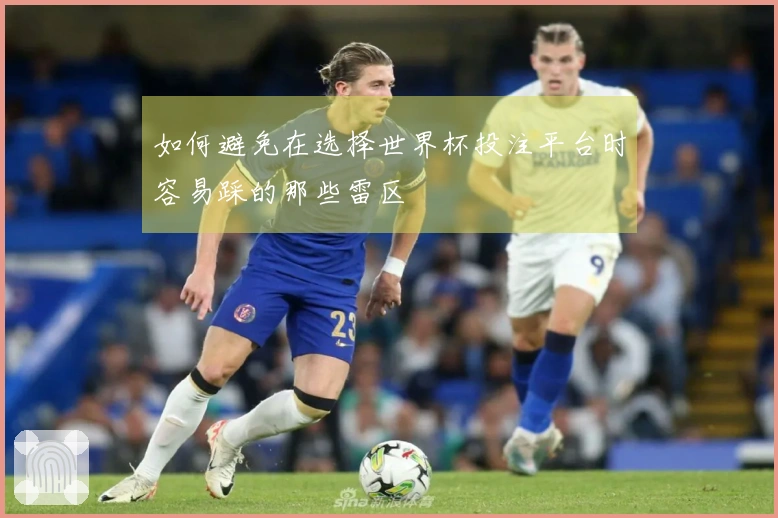 如何避免在选择世界杯投注平台时容易踩的那些雷区