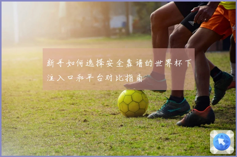 新手如何选择安全靠谱的世界杯下注入口和平台对比指南