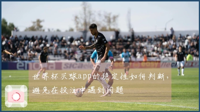 世界杯买球app的稳定性如何判断，避免在投注中遇到问题